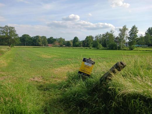 Presentatiebeeld van het pand n° 298002