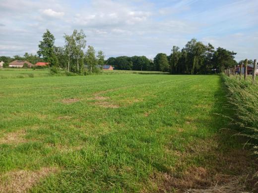 Eerste alternatieve foto van het pand