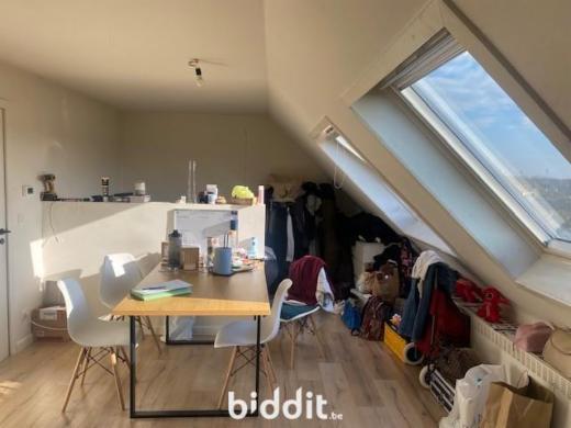 Presentatiebeeld van het pand n° 285300