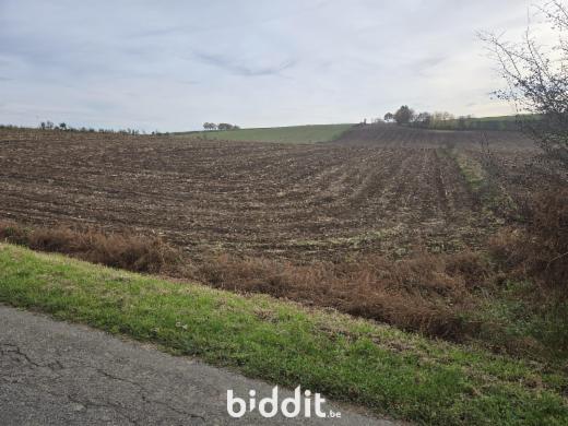 Presentatiebeeld van het pand n° 290017