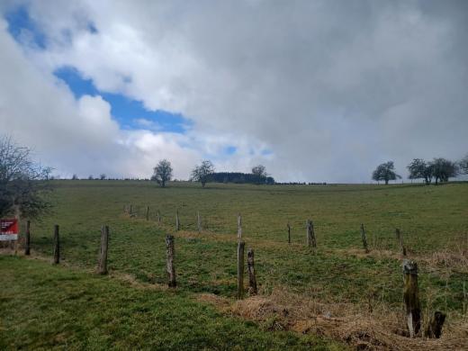 Eerste alternatieve foto van het pand