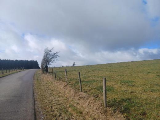 Derde alternatieve foto van het pand