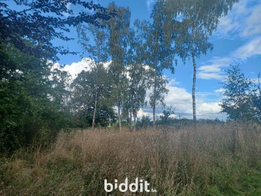 Tweede alternatieve foto van het pand