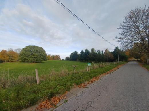 Tweede alternatieve foto van het pand