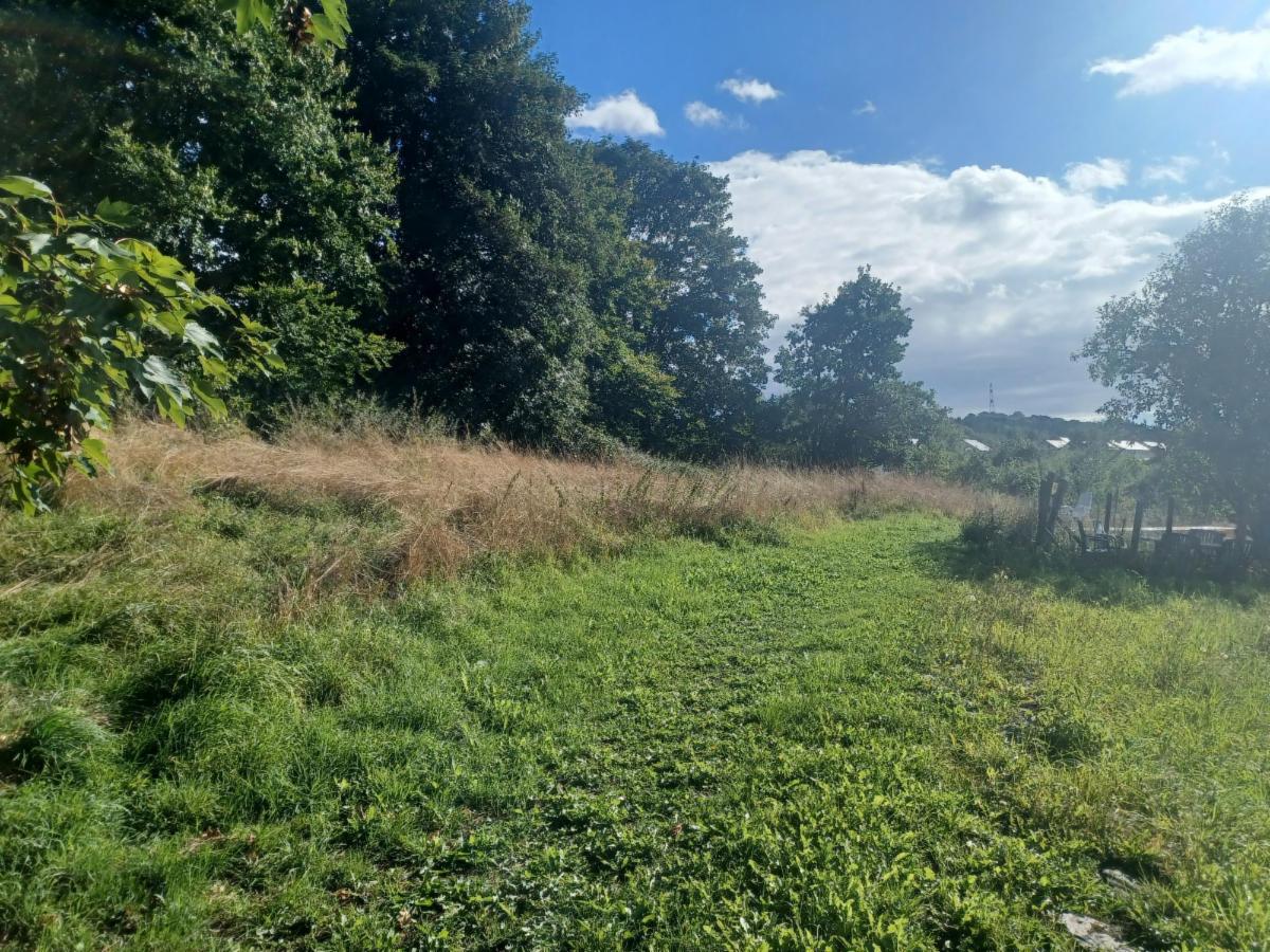 Presentatiebeeld van het pand n° 293025