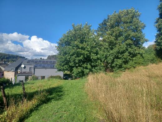 Derde alternatieve foto van het pand