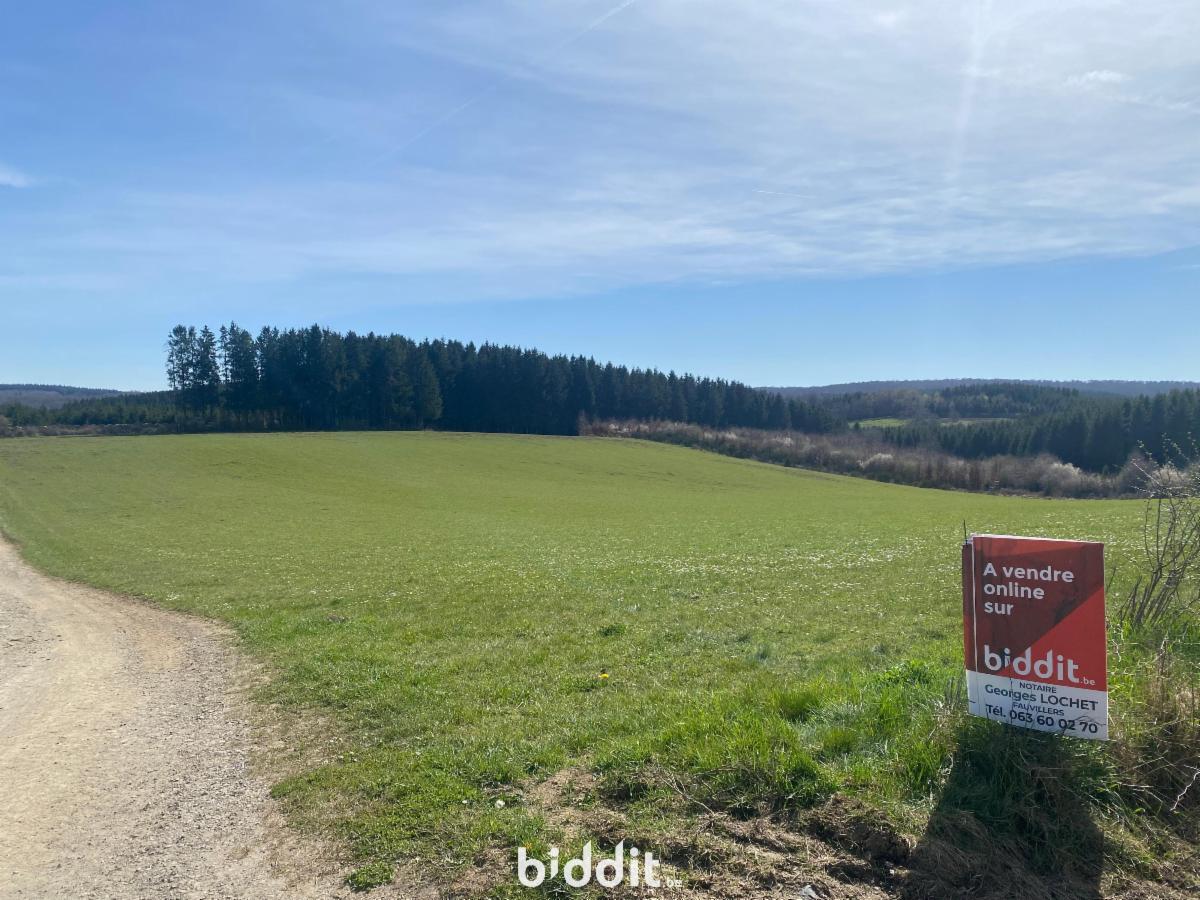 Presentatiebeeld van het pand n° 294846