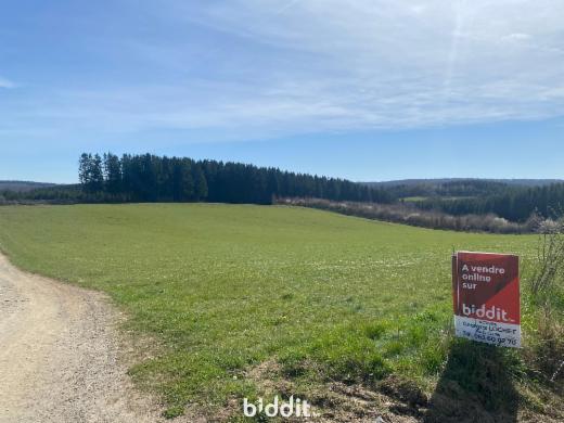 Presentatiebeeld van het pand n° 294846