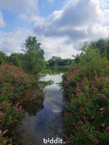 Derde alternatieve foto van het pand