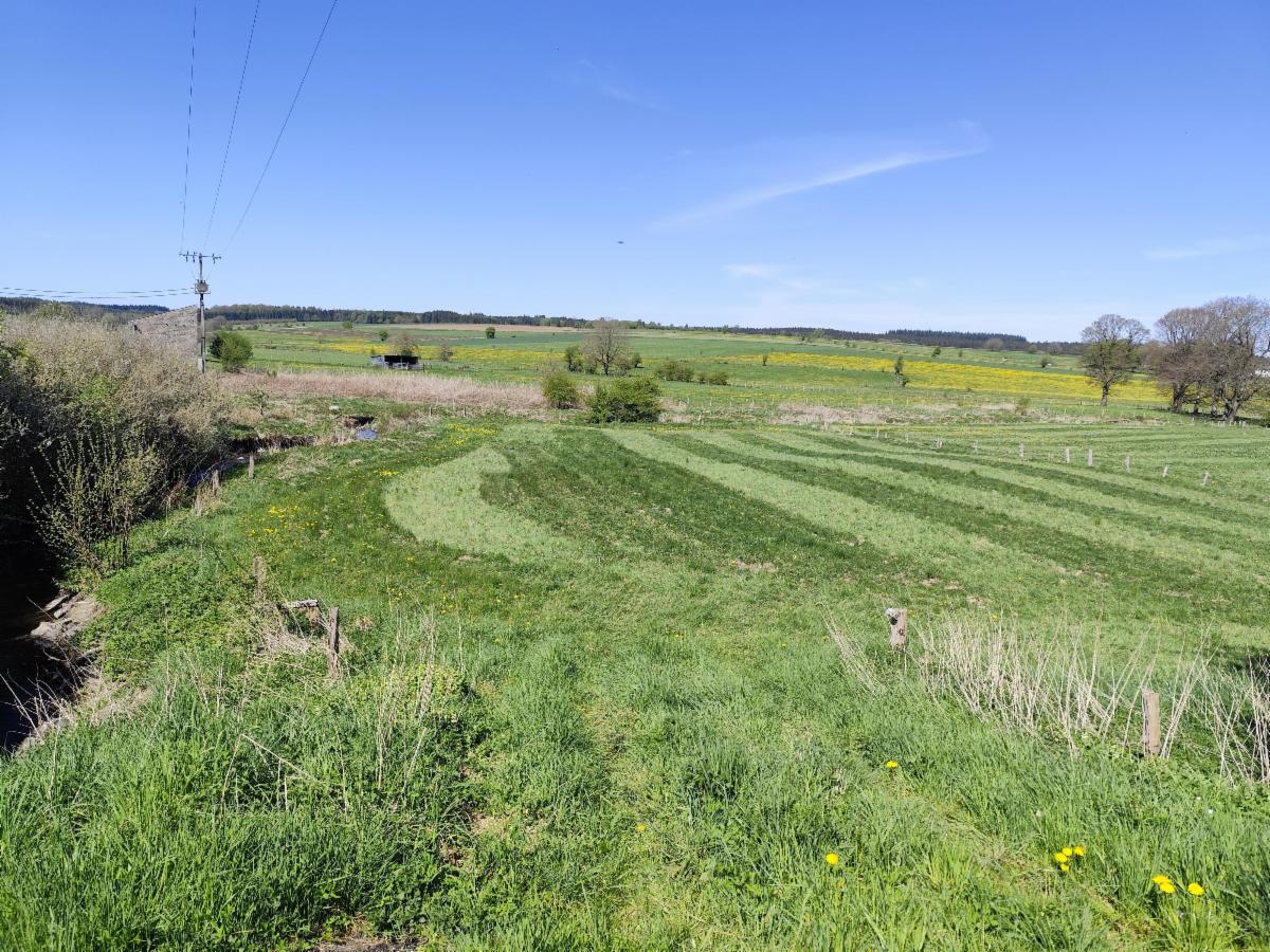 Presentatiebeeld van het pand n° 282236