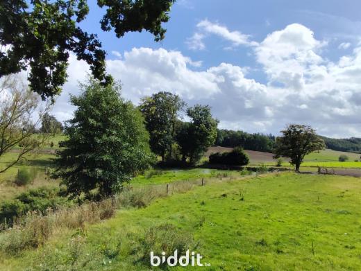 Derde alternatieve foto van het pand
