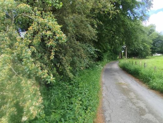 Eerste alternatieve foto van het pand