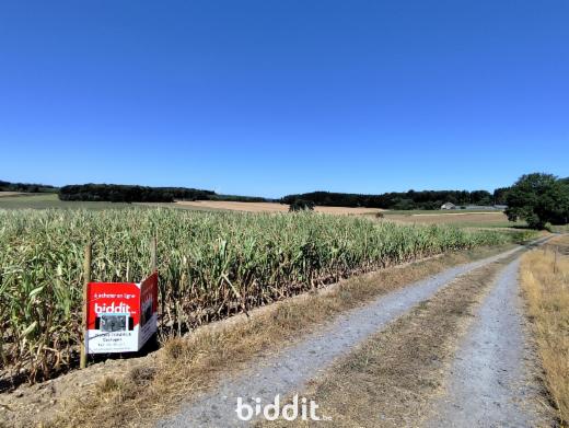 Derde alternatieve foto van het pand