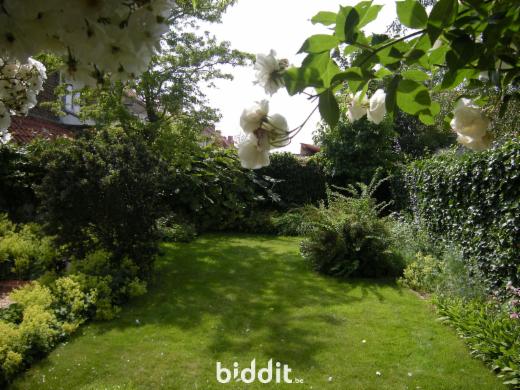 Derde alternatieve foto van het pand