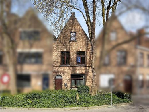 Presentatiebeeld van het pand n° 295753