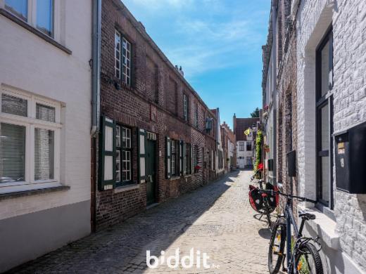 Presentatiebeeld van het pand n° 299033