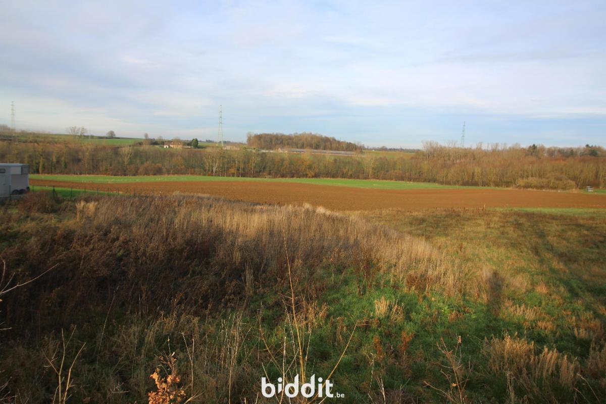 Presentatiebeeld van het pand n° 291238