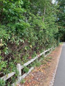 Presentatiebeeld van het pand n° 289386