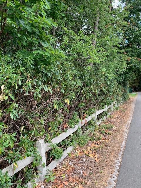 Presentatiebeeld van het pand n° 289393