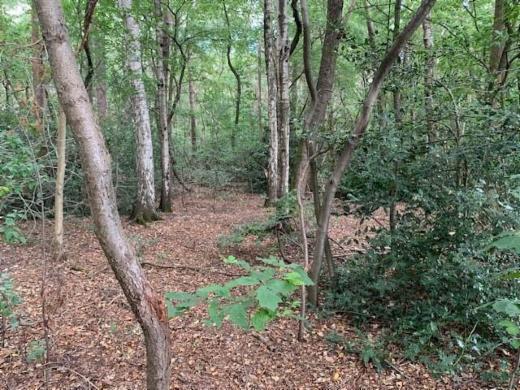 Eerste alternatieve foto van het pand