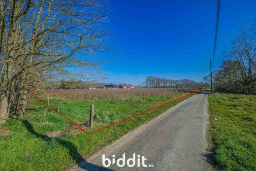 Presentatiebeeld van het pand n° 294360