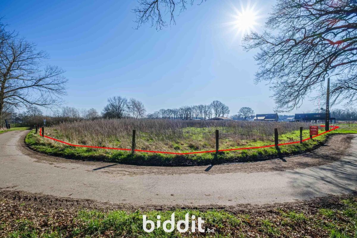 Presentatiebeeld van het pand n° 294364