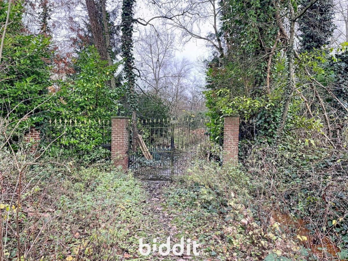 Presentatiebeeld van het pand n° 290760