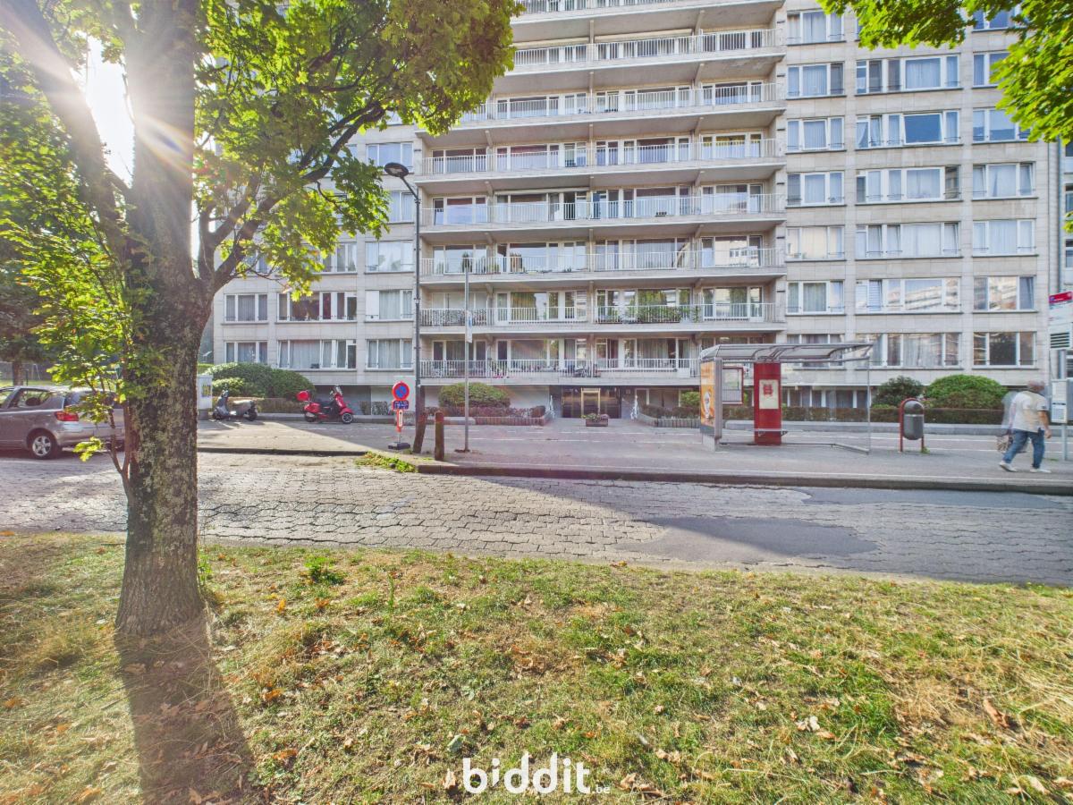 Presentatiebeeld van het pand n° 291473