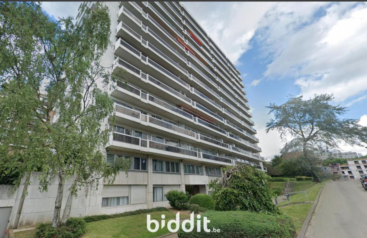 Presentatiebeeld van het pand n° 291494