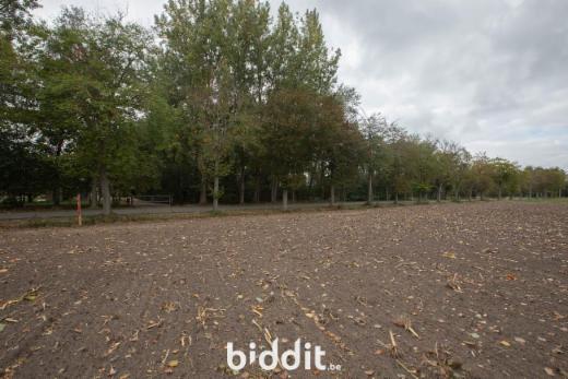 Tweede alternatieve foto van het pand