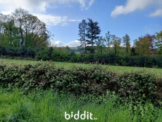 Derde alternatieve foto van het pand