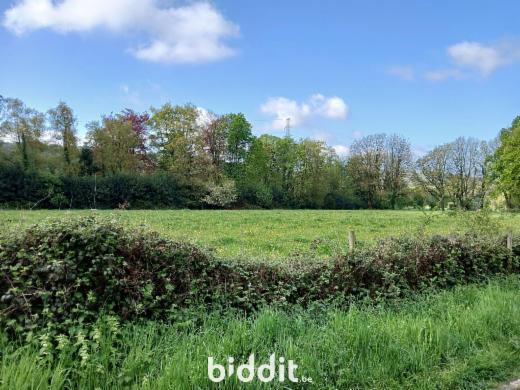 Tweede alternatieve foto van het pand