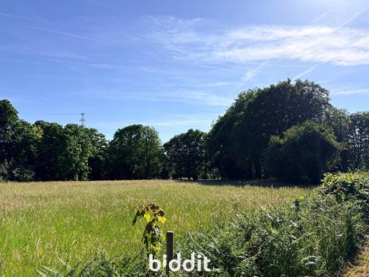 Eerste alternatieve foto van het pand