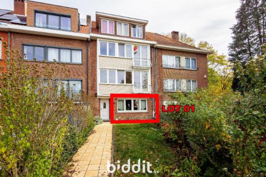 Presentatiebeeld van het pand n° 289236