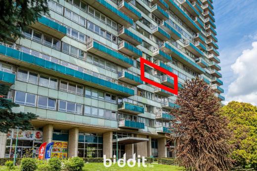 Presentatiebeeld van het pand n° 295414