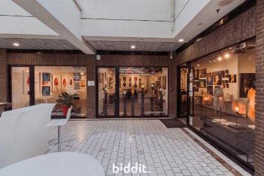 Presentatiebeeld van het pand n° 294074