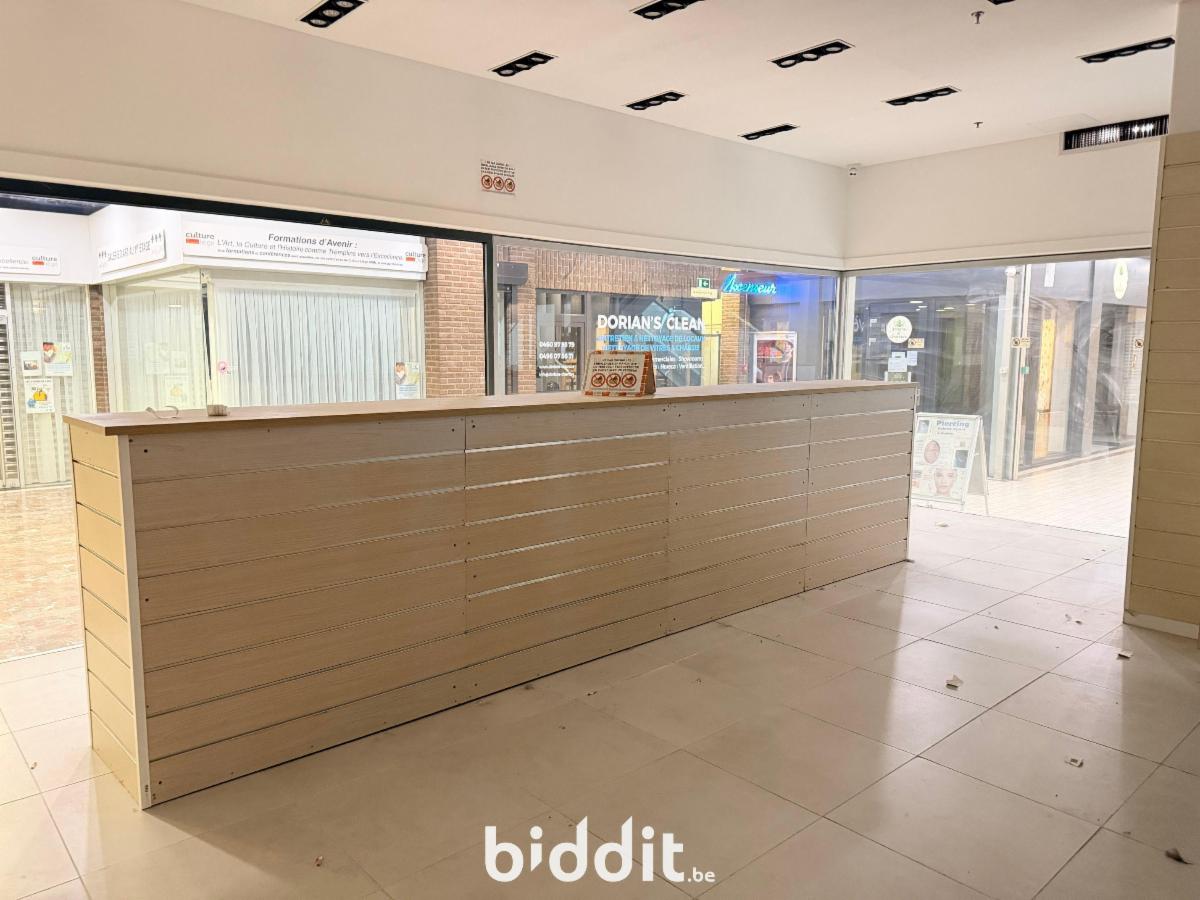 Presentatiebeeld van het pand n° 294159