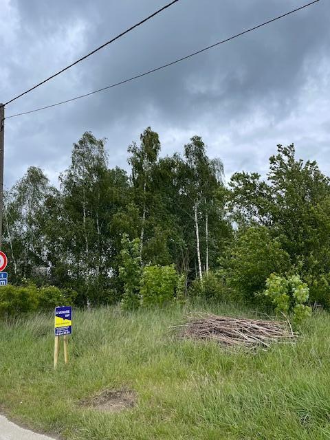 Presentatiebeeld van het pand n° 296708
