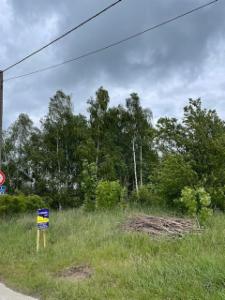 Presentatiebeeld van het pand n° 296708