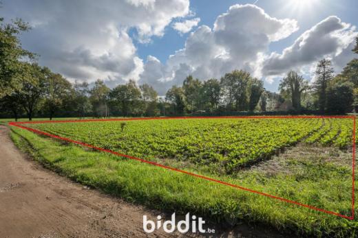 Eerste alternatieve foto van het pand