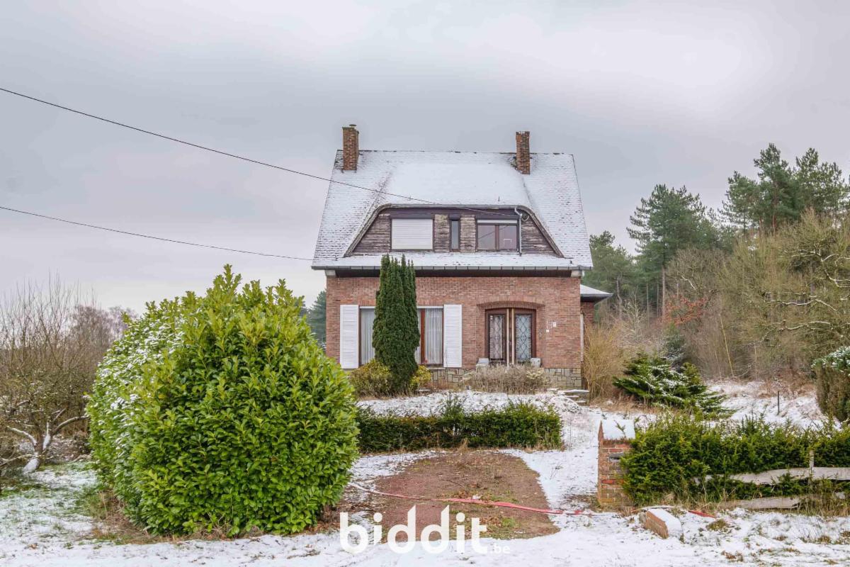 Presentatiebeeld van het pand n° 291480