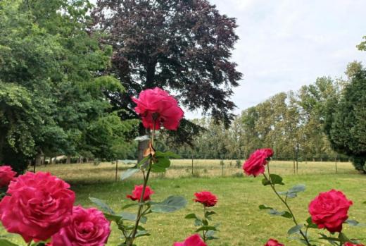 Eerste alternatieve foto van het pand