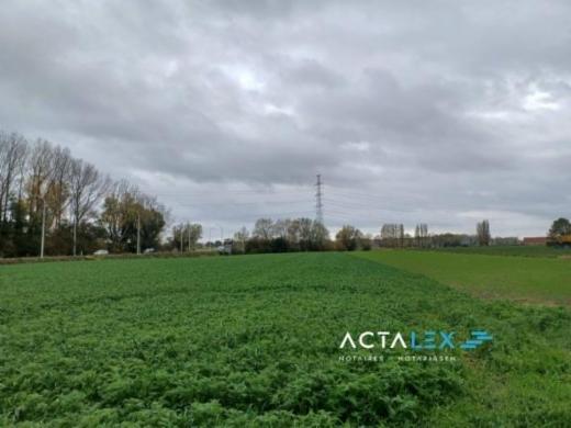 Presentatiebeeld van het pand n° 289717