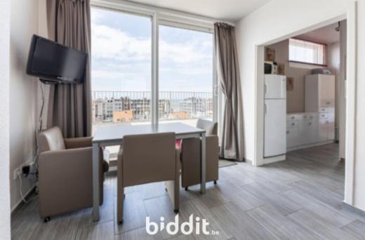 Presentatiebeeld van het pand n° 294847