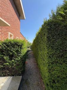 Tweede alternatieve foto van het pand