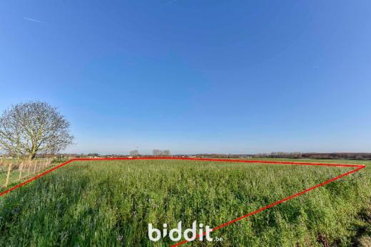 Eerste alternatieve foto van het pand