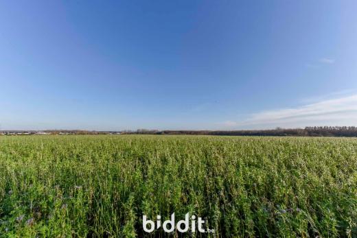 Derde alternatieve foto van het pand