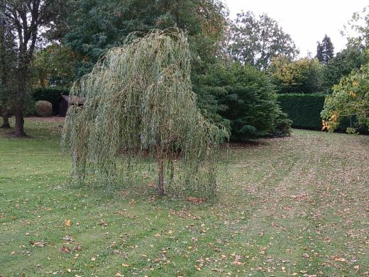 Tweede alternatieve foto van het pand