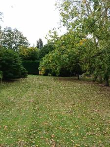 Eerste alternatieve foto van het pand