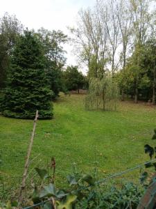 Eerste alternatieve foto van het pand